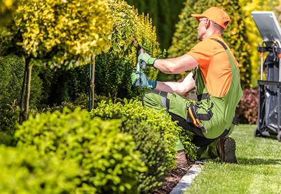 Travaux de jardinage