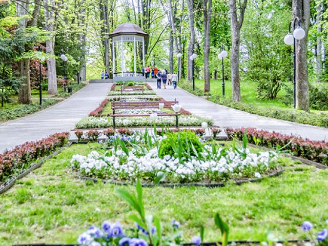 Entretien jardin