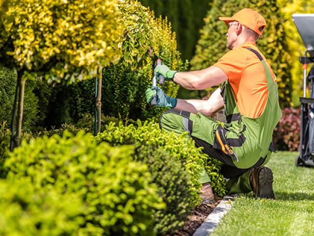 Travaux de jardinage