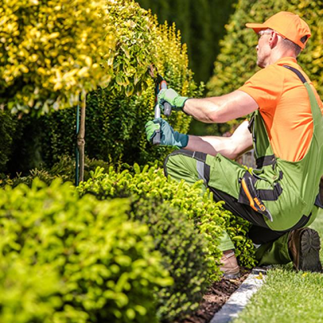 Travaux de jardinage